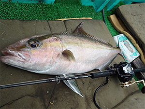未使用品　DAIWA ダイワ　Neostage DG ネオステージ　J60B-4 ロッド フィッシング スポーツ・レジャー SALE セール