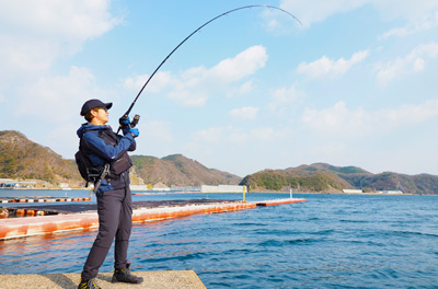 DAIWA : オーバーゼア - Web site