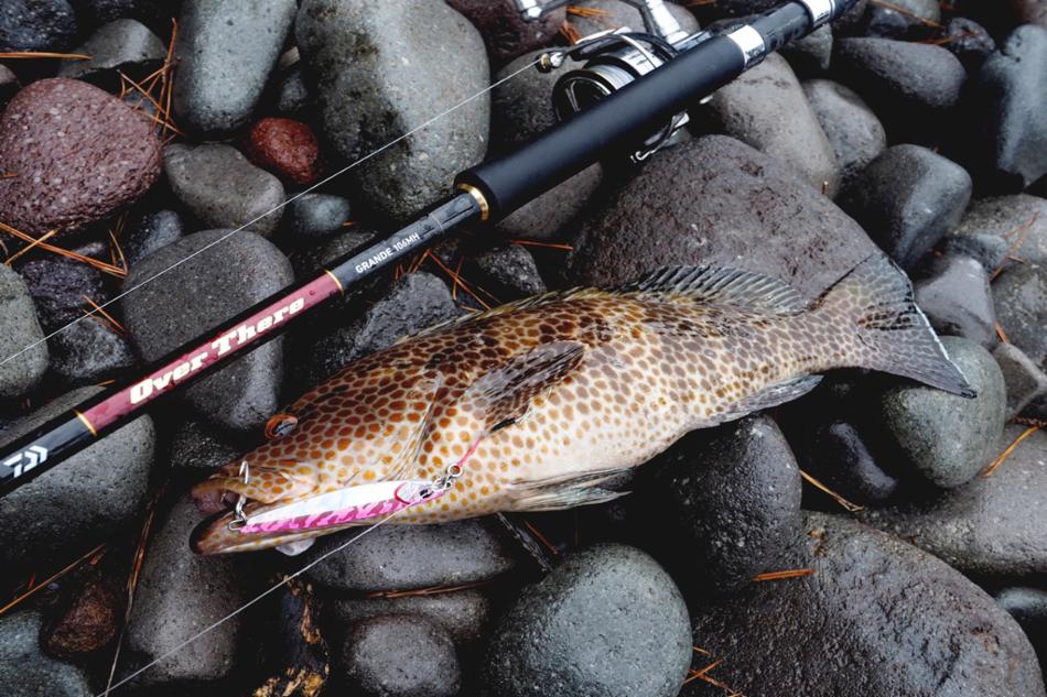 DAIWA ： オーバーゼア グランデ（ショアジギングモデル） - Web site