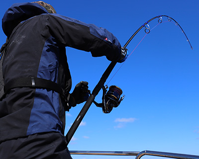 DAIWA : ソルティガ エアポータブル - Web site
