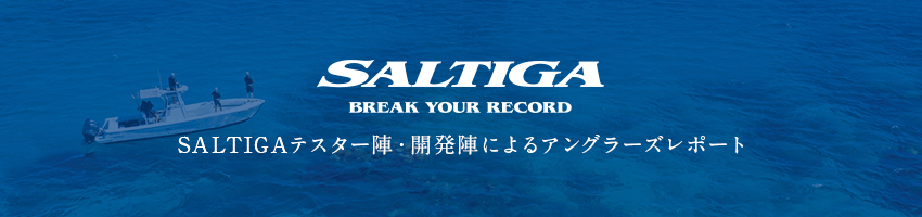 DAIWA ： ソルティガ エアポータブル - Web site