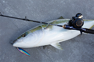 DAIWA ： ソルティガ LJ - Web site