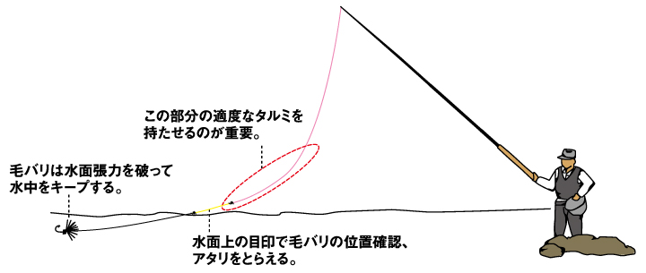 Daiwa タフロン テンカラレベルライン Web Site