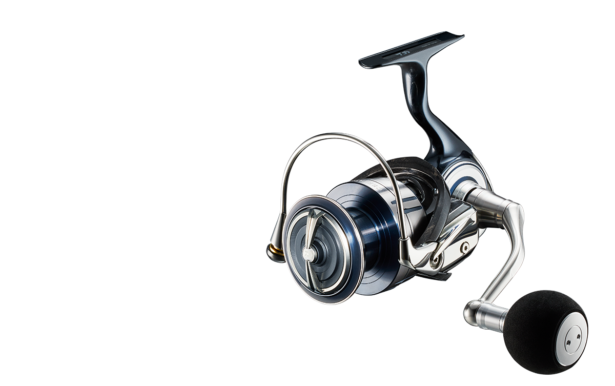 待望の5000・6000登場。