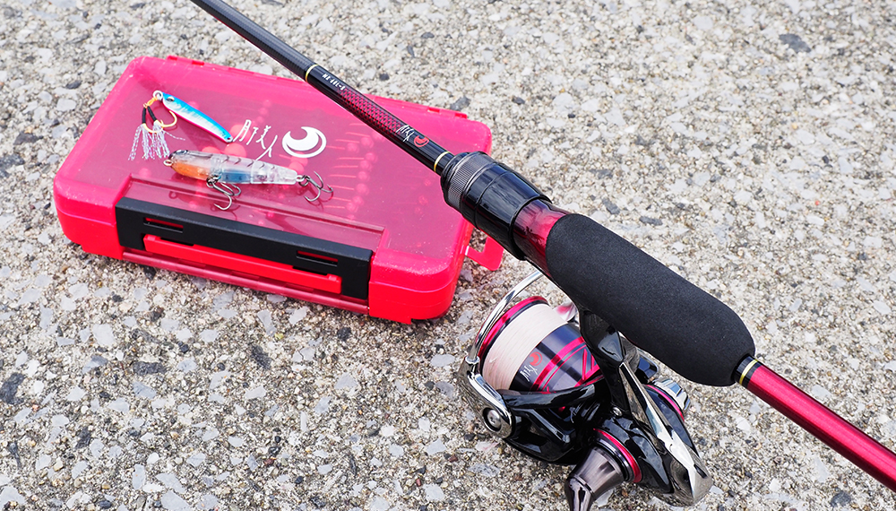 月下美人 Mx Daiwa