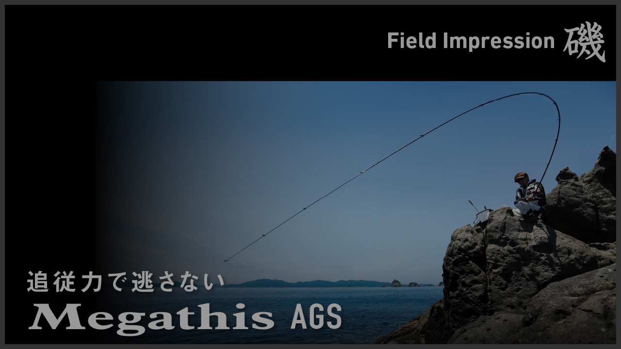 メガディス AGS【Field Impression 磯】 