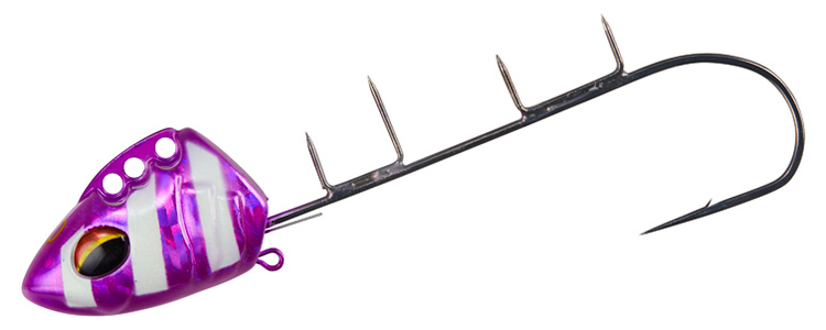 紫ゼブラ ルミノーバブルーグロー（40号）
