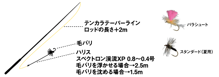 Daiwa テンカラ毛針セット スタンダード 春 夏 Web Site