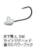 月下美人 SWライトジグヘッド鏃 SS パワーフック