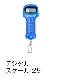 デジタルスケール 25