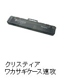 クリスティア ワカサギ ケース 速攻