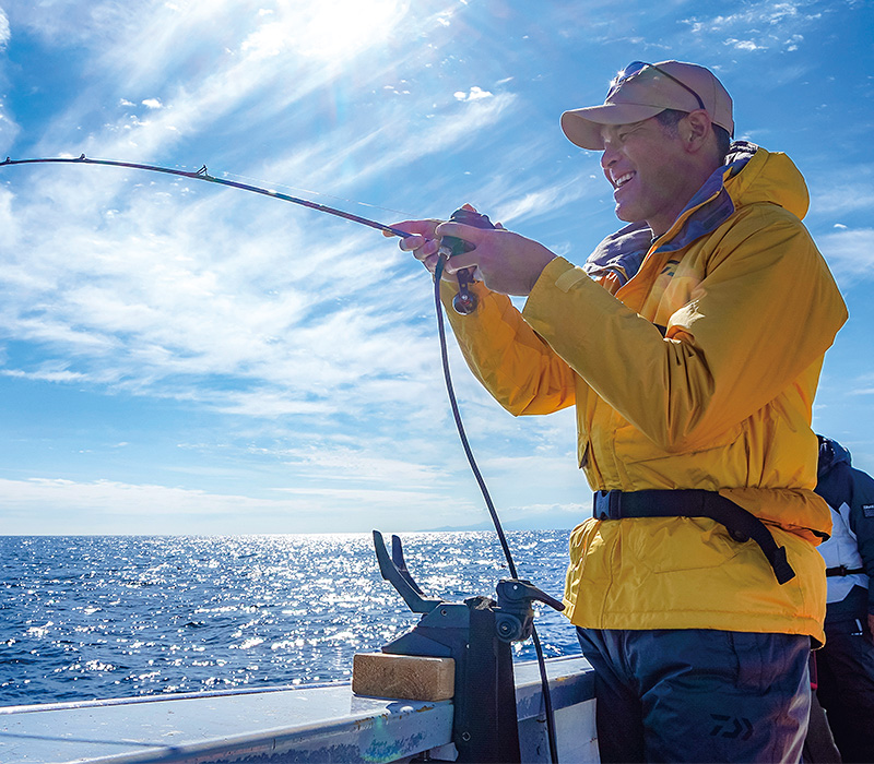 DAIWA ： 照英  site