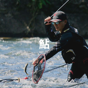 鮎