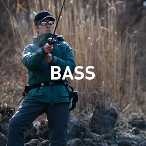 BASS