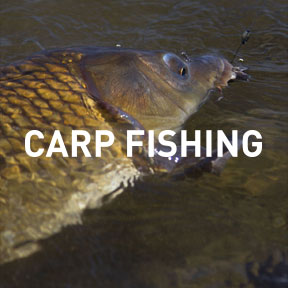 CARP FISHING