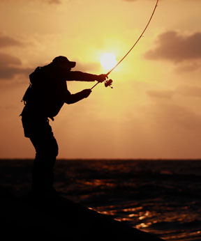 DAIWA公式：フィッシング（釣り）のダイワトップページ