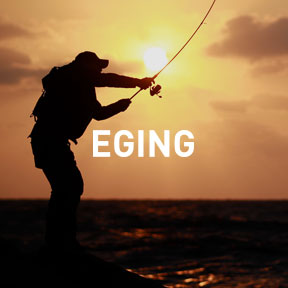 EGING