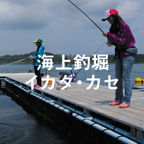 海上釣堀・イカダ・カセ