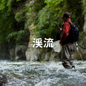 渓流
