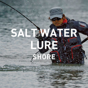 SALT WATER LURE SHORE