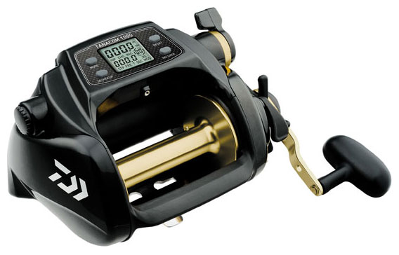 Electric Reel Spooling & Fishing (Daiwa Tanacom 1000) 