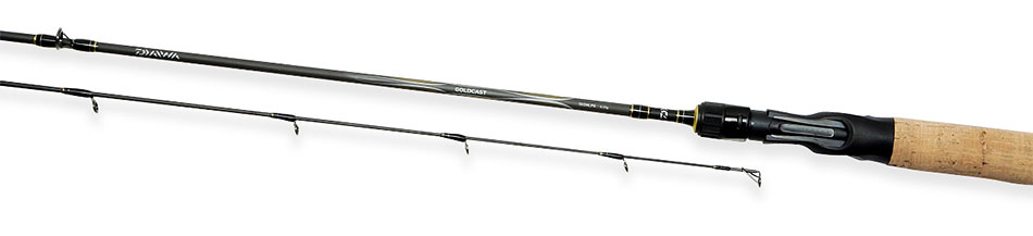 Daiwa  GOLDCAST SPINCAST