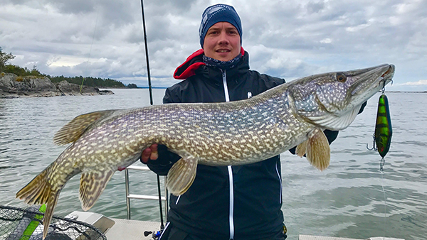 Daiwa  May – Pike season is on!