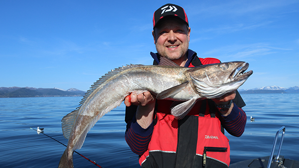 Daiwa  July, The hottest month to catch huge hake