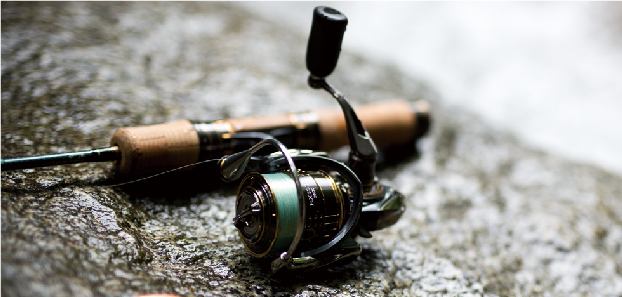 Details about   Daiwa 19 Lexa LT2500S-XH Spinning Reel Left 